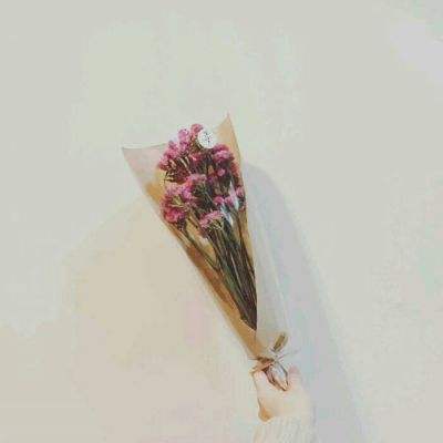 万众之王满v变态版下载